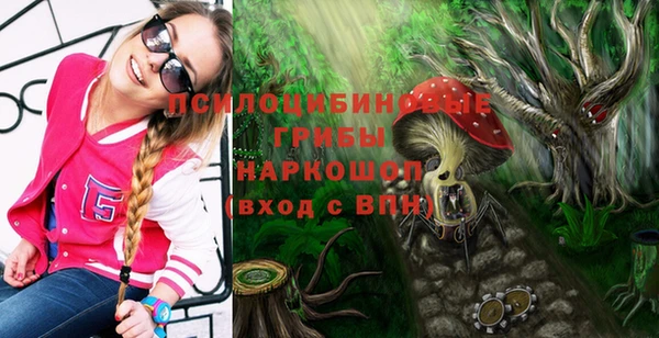 а пвп мука Абаза