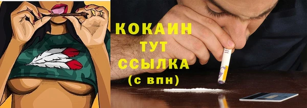 а пвп мука Абаза