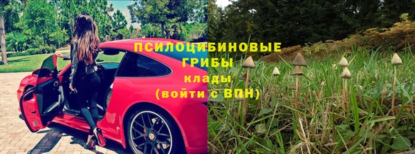 твердый Алзамай