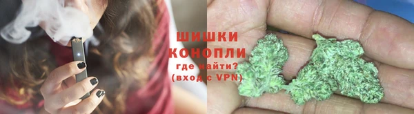 твердый Алзамай