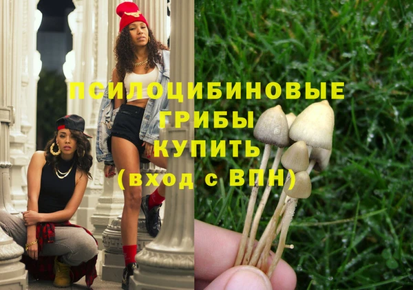 крисы Алексин