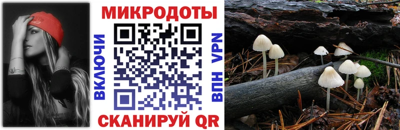 Галлюциногенные грибы ЛСД купить цена сайты даркнета формула Щёлкино
